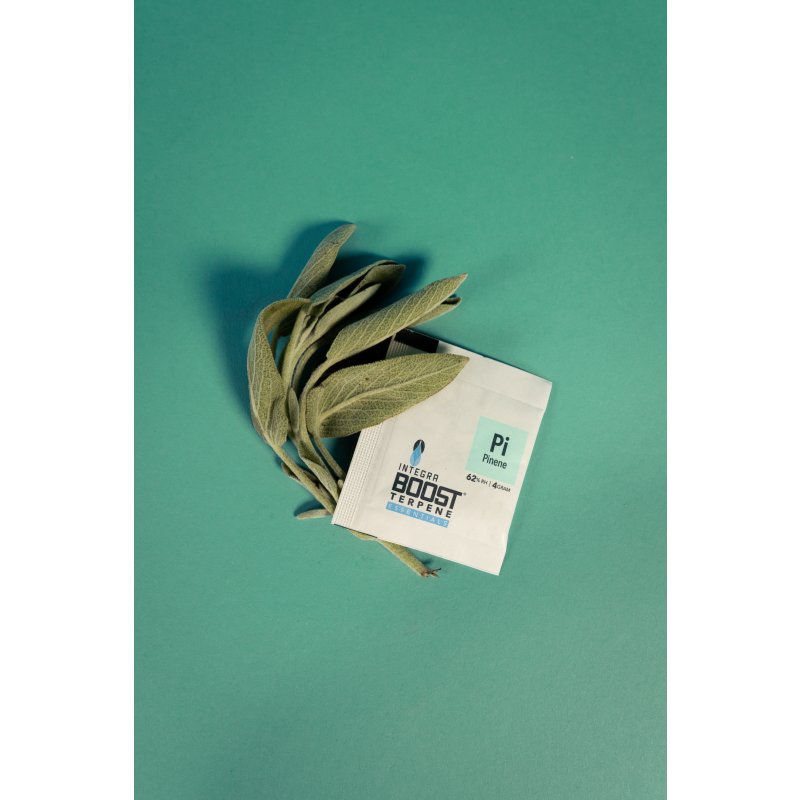 Integra Boost Terpene Essentials Pinen 4g, 62%, 48 ks