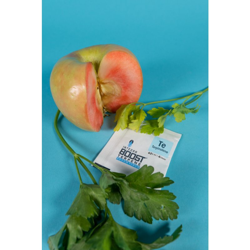 Integra Boost Terpene Essentials Terpinolen 4g, 62%, 48 ks