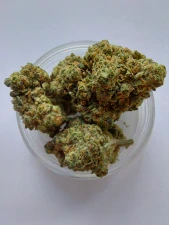 Nano10 Amnesia NANO10 konopný květ 1g