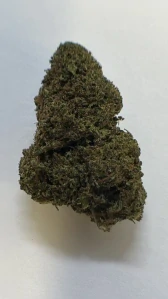 Nano11 Jack Herer konopný květ 1g