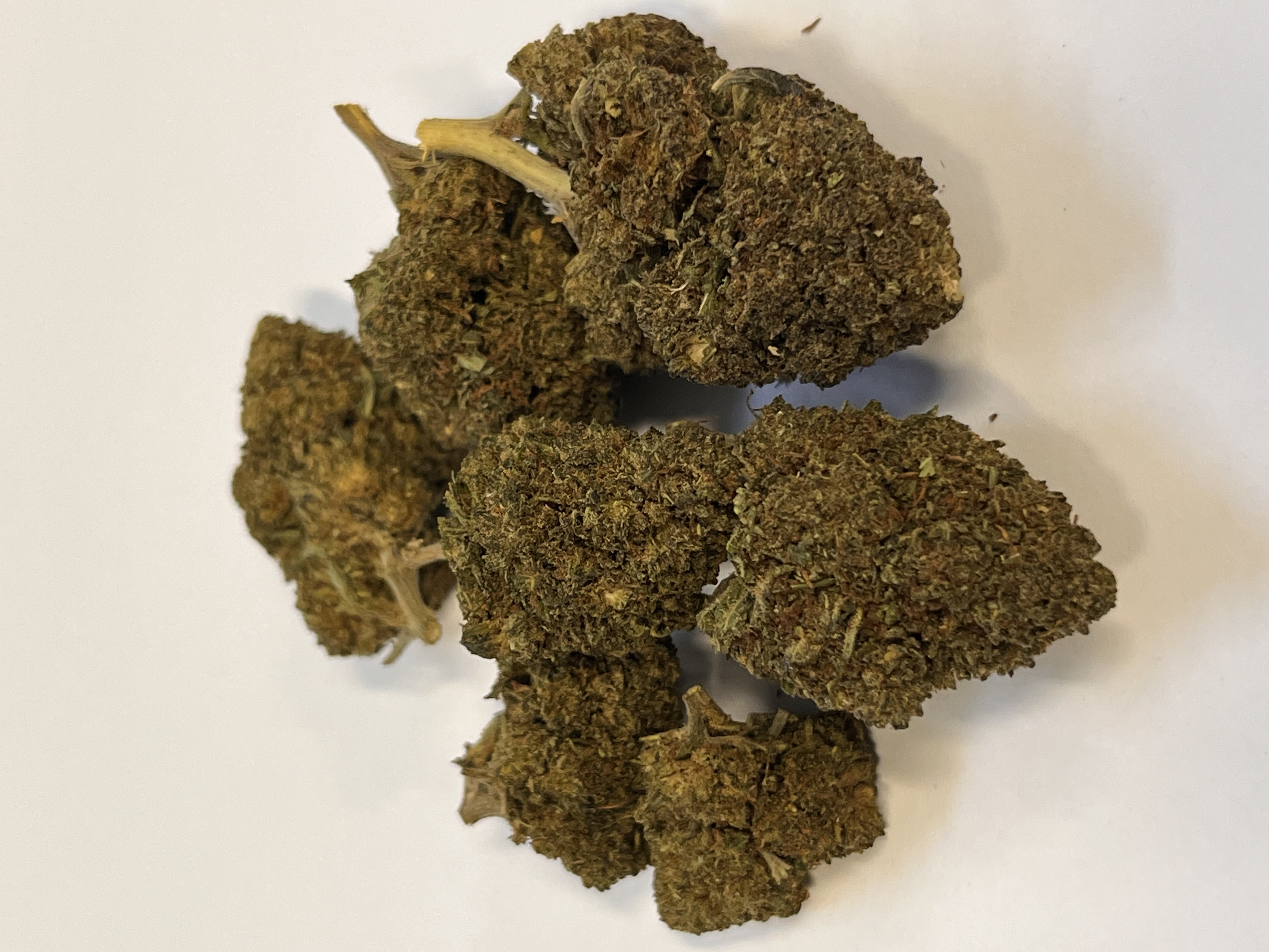 GELATO NANO11 konopný květ 1g