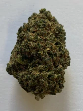 Amnesia NANO10 2.0 konopný popcorn 1g