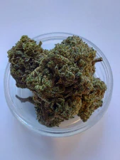 Nano10 OREO COOKIES 1g