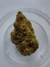 Nano11 Lemon POP - květ 1g