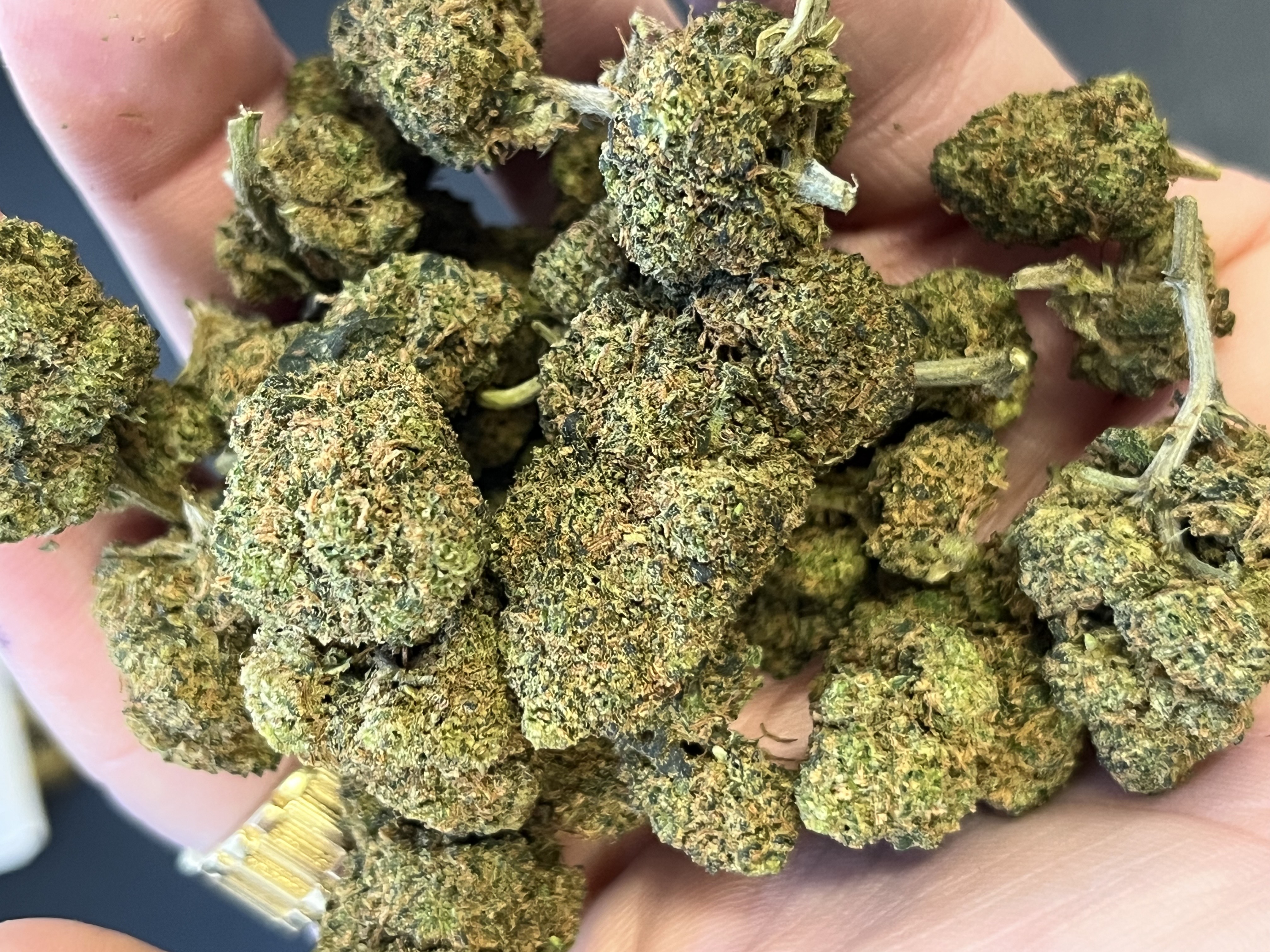 Nano11 ZUSHI #2 konopný květ 1g