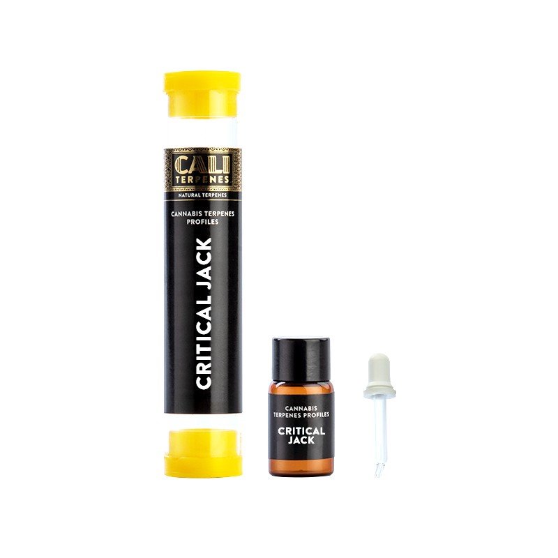 Cali Terpenes Aroma Critical Jack 1ml