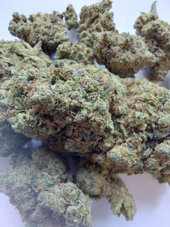 Nano10 Amnesia NANO10 konopný květ 1g