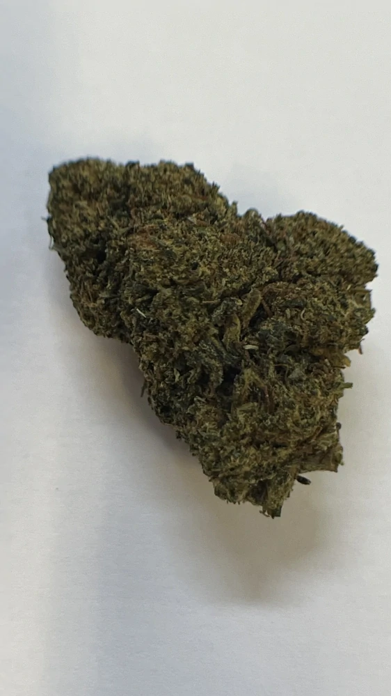 Nano11 Jack Herer konopný květ 1g