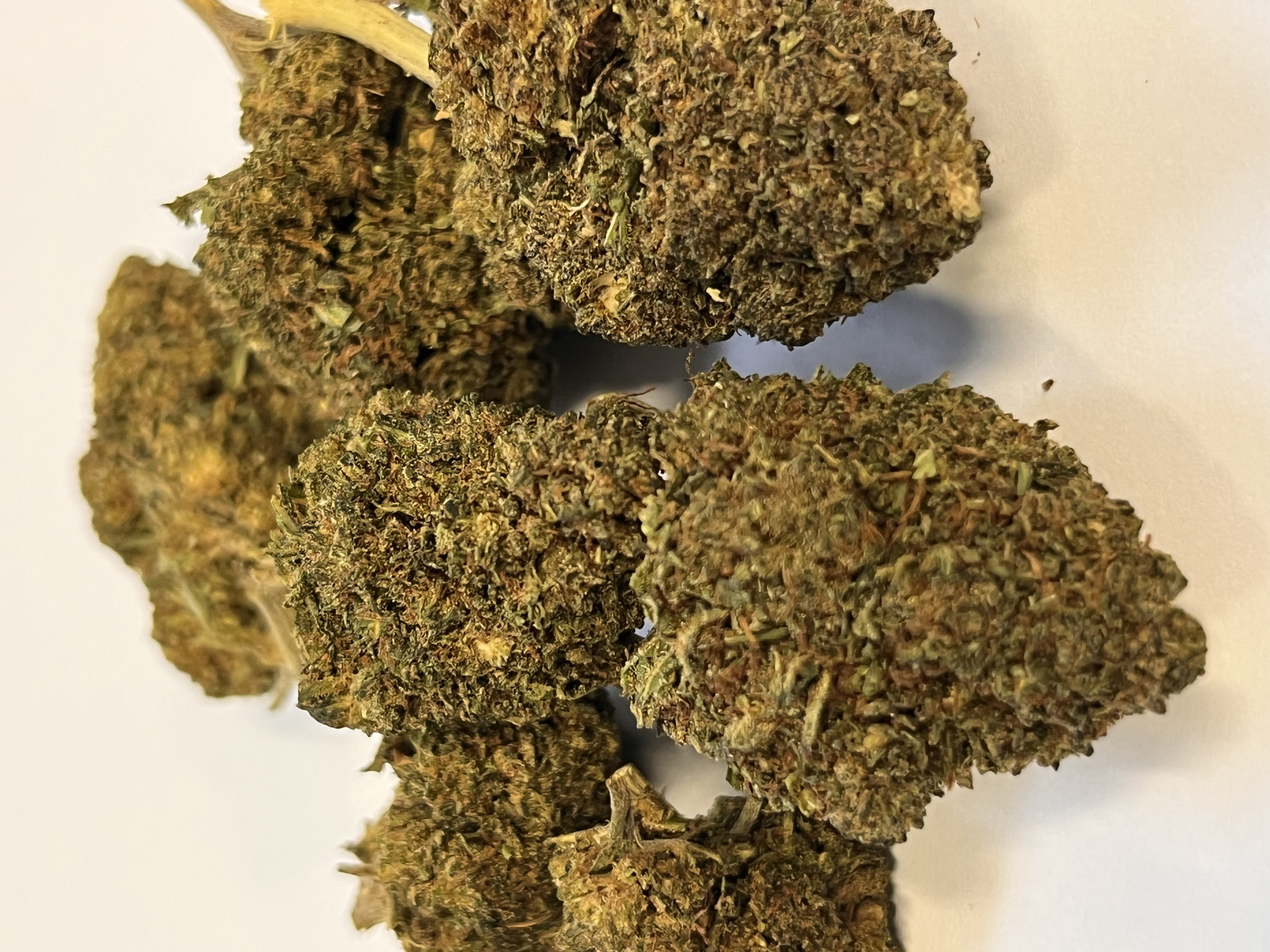 GELATO NANO11 konopný květ 3g