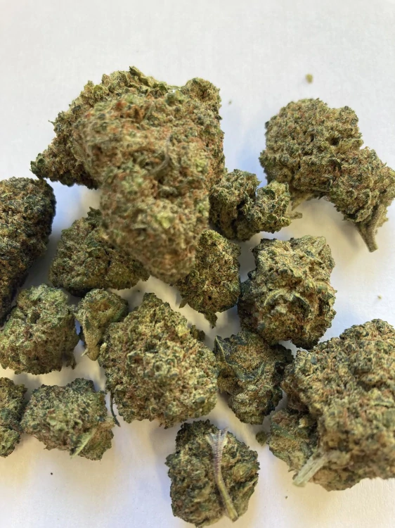 Amnesia NANO10 2.0 konopný popcorn 1g