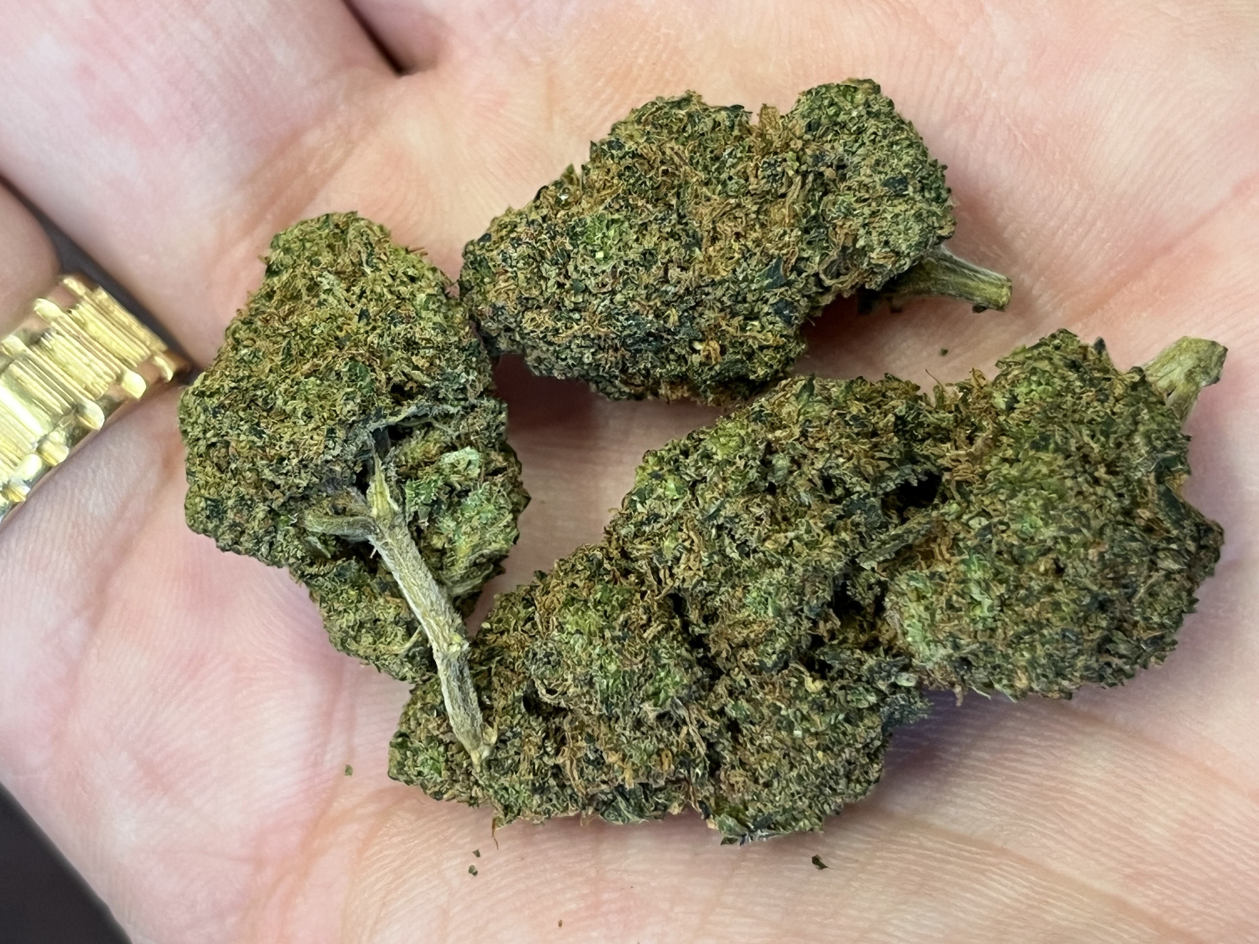 Nano11 ZUSHI #2 konopný květ 1g