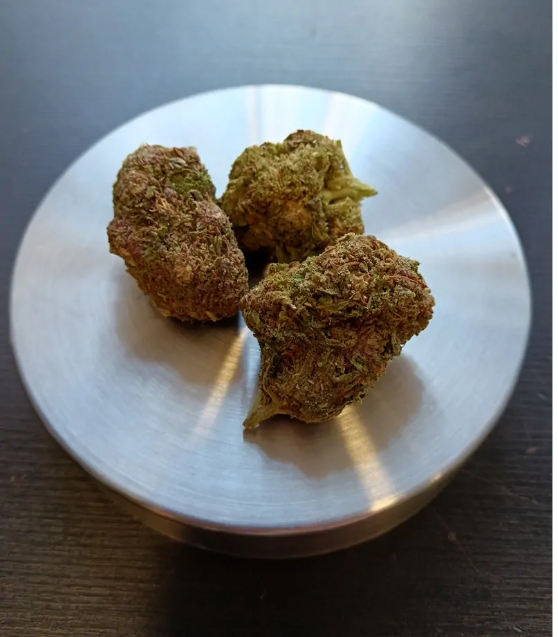 CBD květy Ultra Pink 10 g