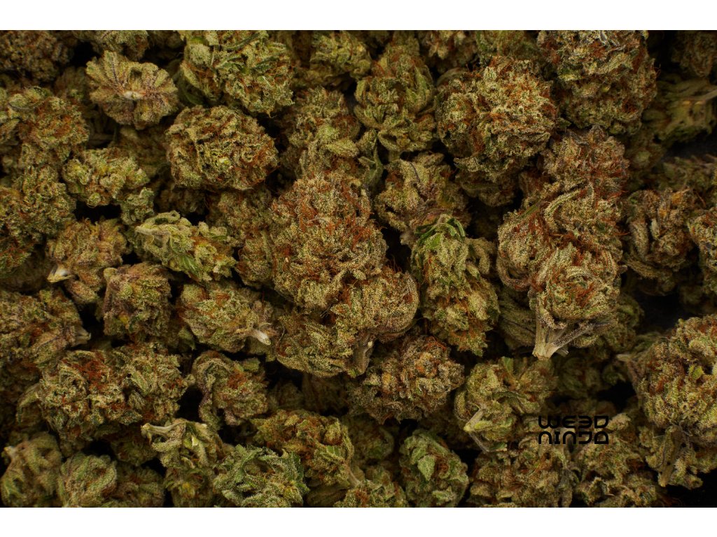 CBD květy Amnesia Haze