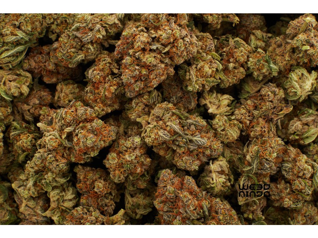 CBD květy Purple Urkle 1 g