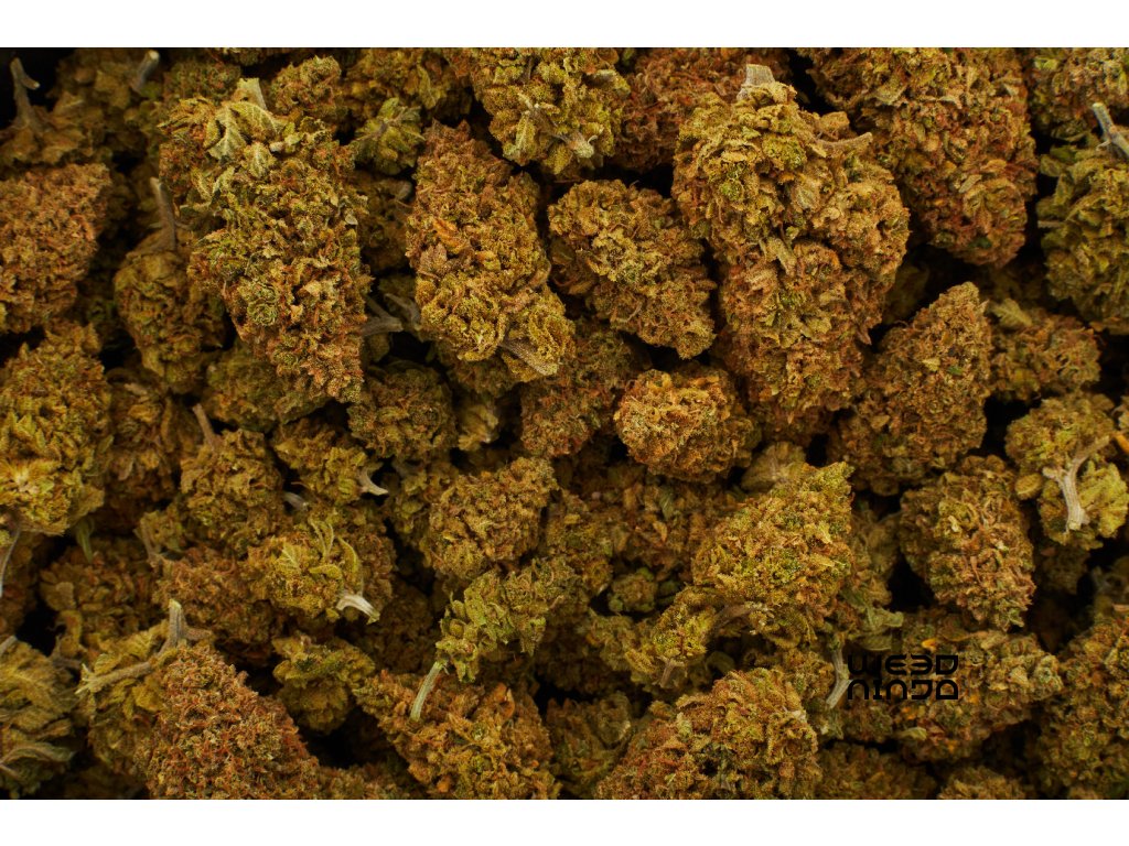 CBD květy OG Kush 10 g