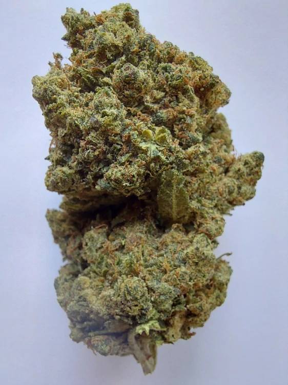 Nano10 Amnesia NANO10 konopný květ 1g