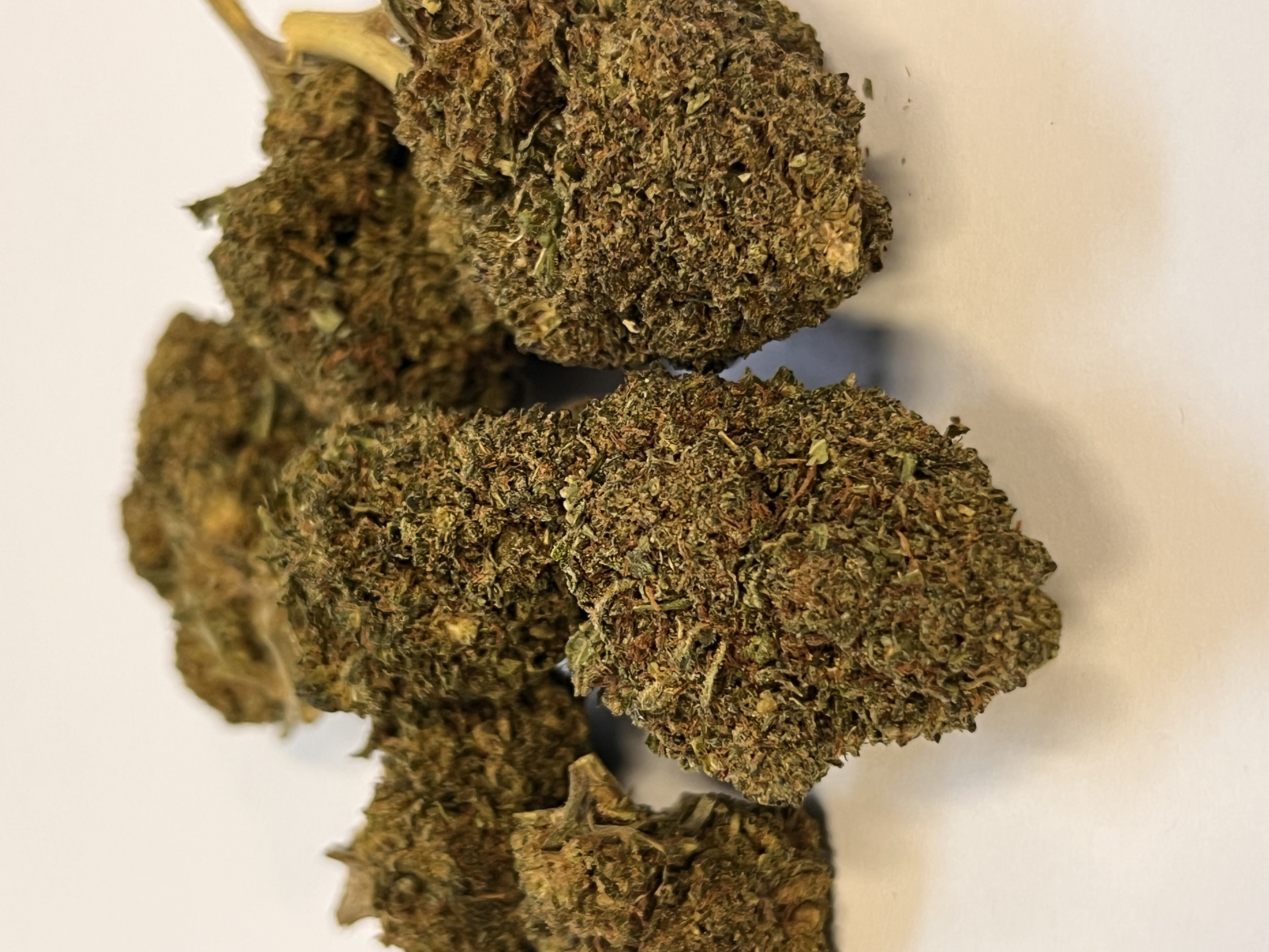 GELATO NANO11 konopný květ 3g