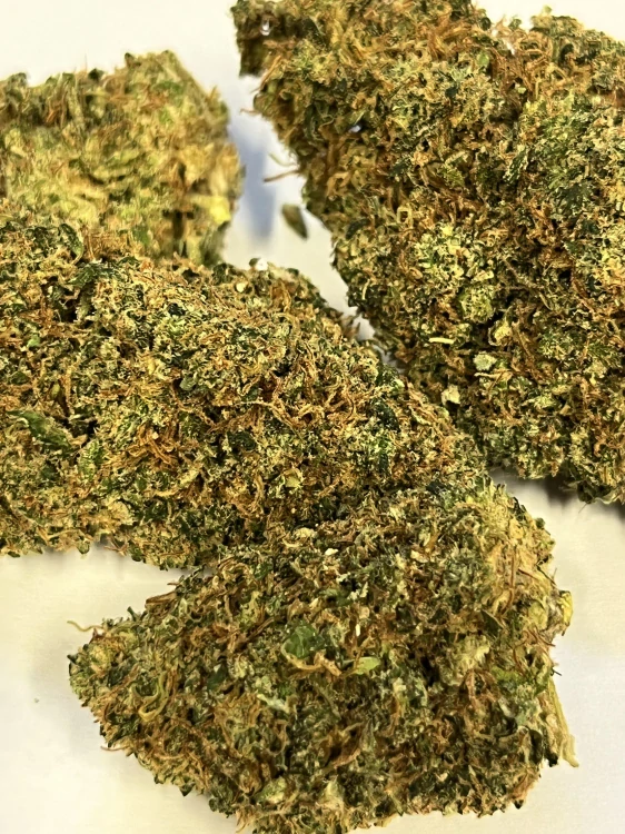 Nano10 White Russian konopný květ 750g