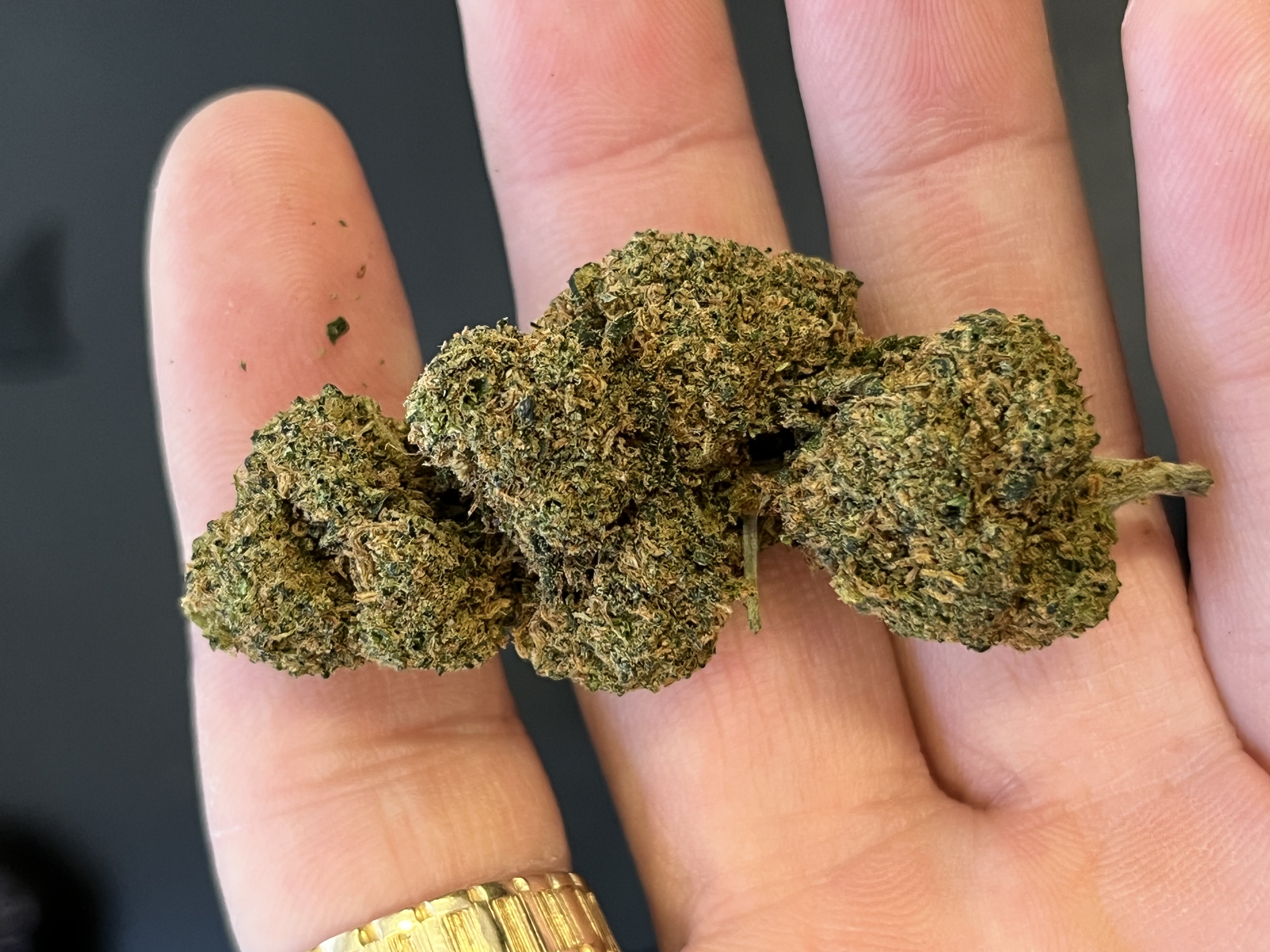 Nano11 ZUSHI #2 konopný květ 1g