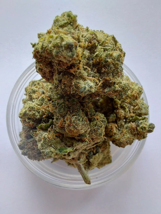 Nano10 Amnesia NANO10 konopný květ 1g