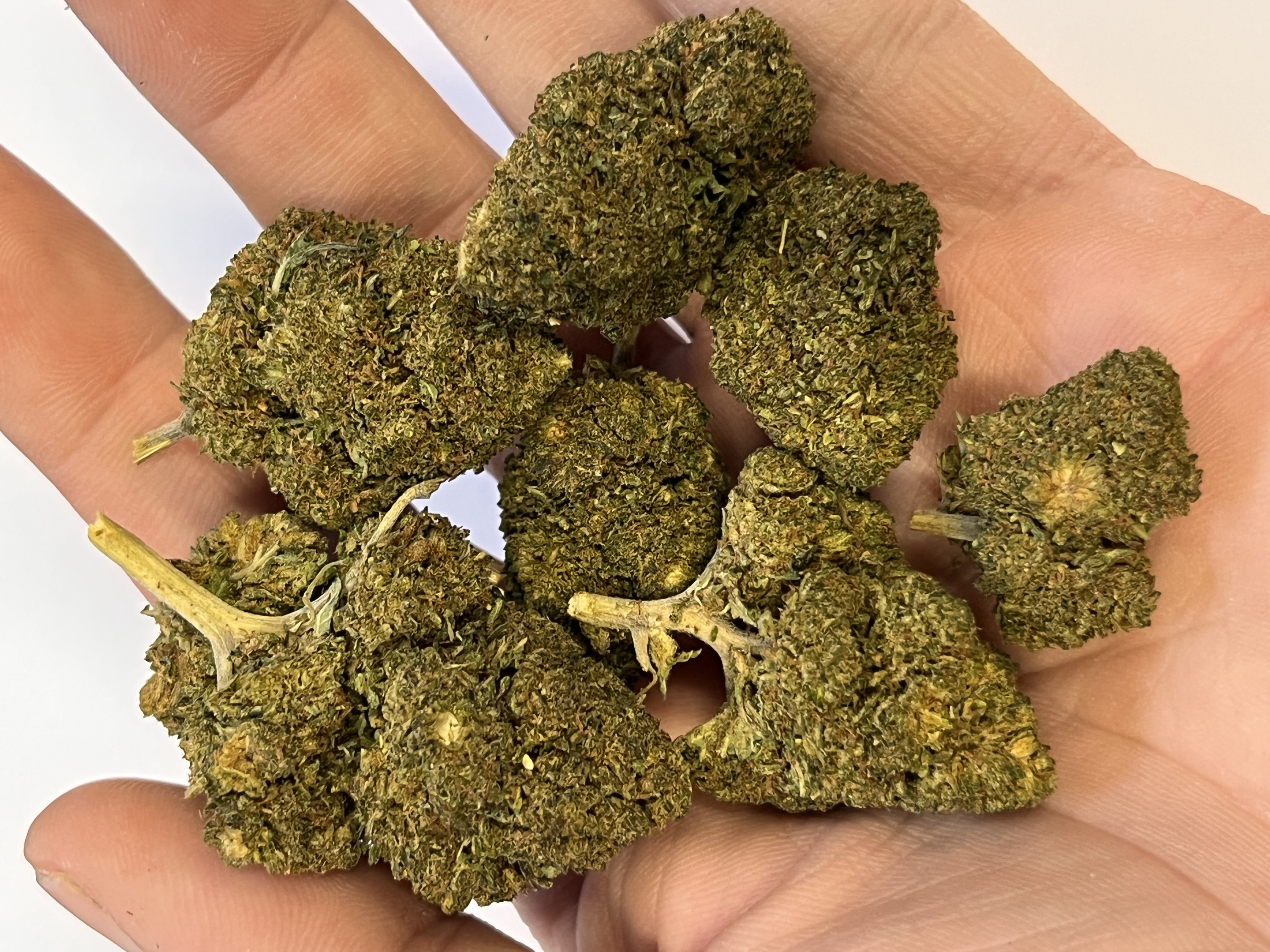 GELATO NANO11 konopný květ 3g