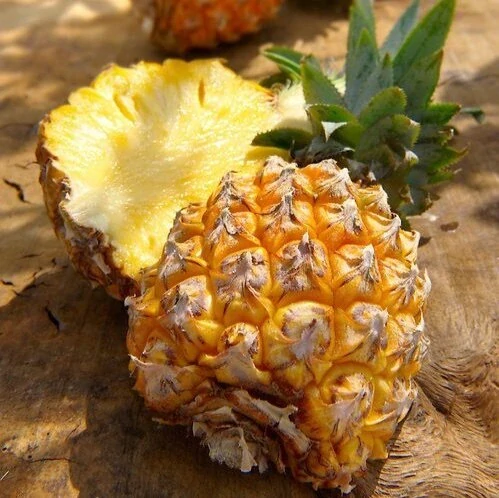 CBDWAY CBD Vegan Exotický mix 500 mg