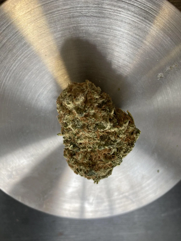 CBD OG květ, obsah cbd až 16%, THC 0,12% 10g