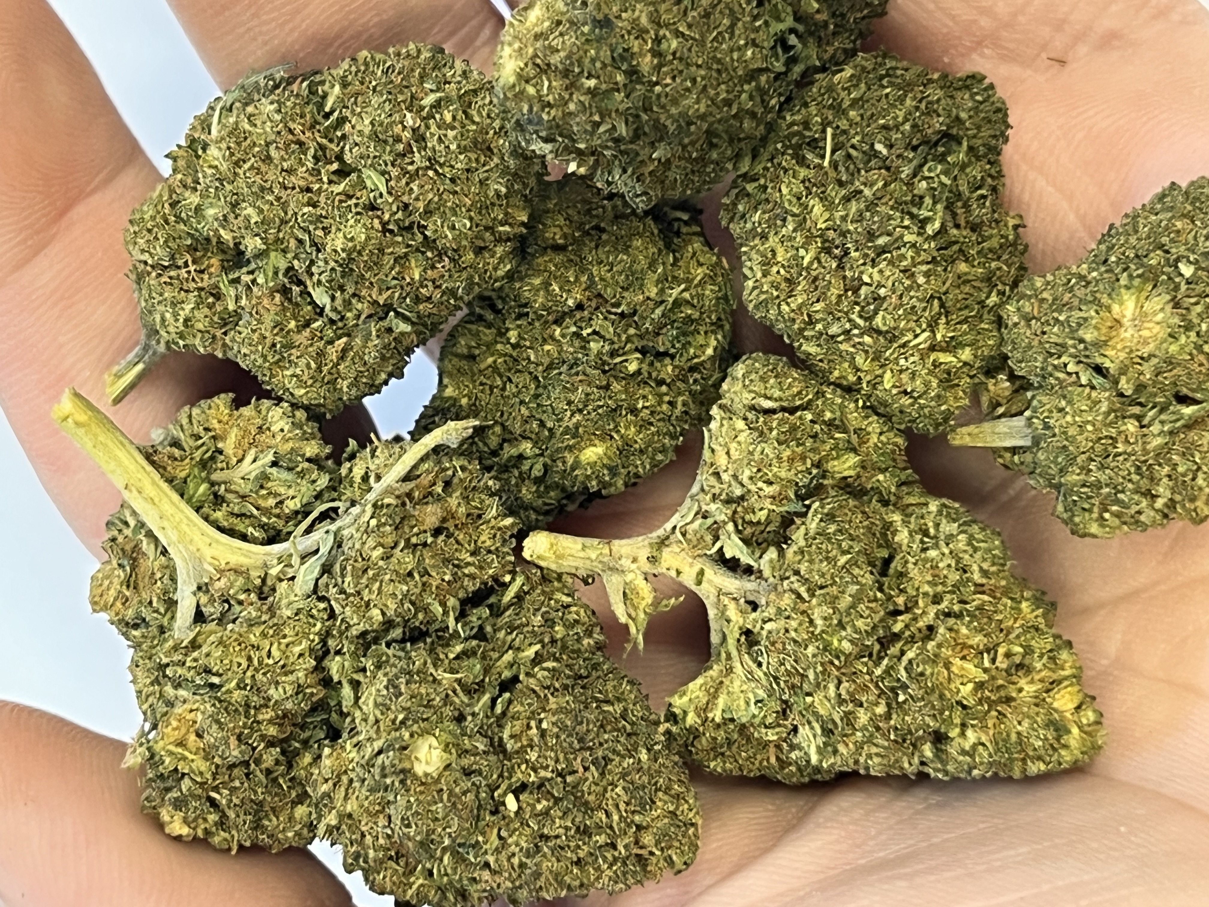 GELATO NANO11 konopný květ 3g