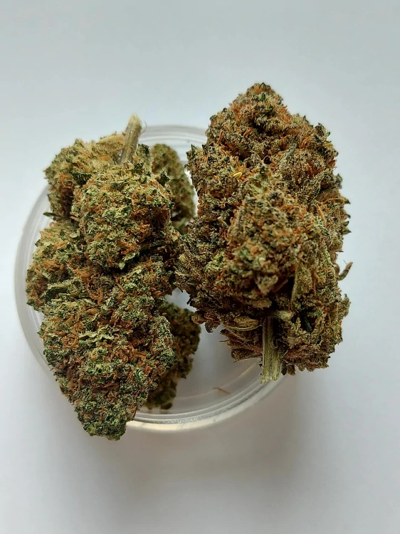 Nano11  AK47 - konopný květ 1g