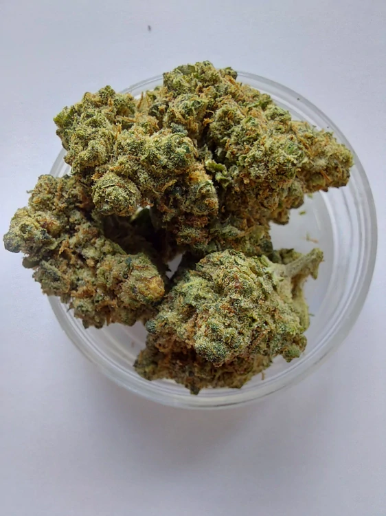 Nano10 Amnesia NANO10 konopný květ 1g