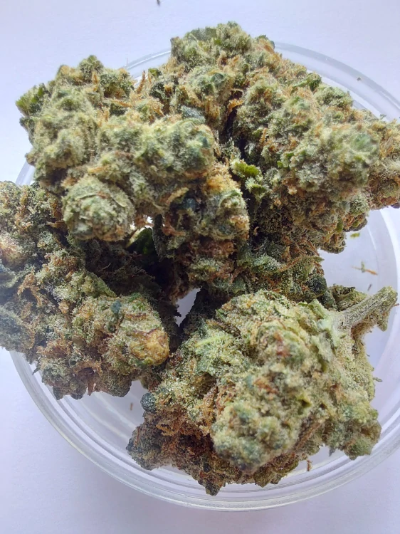 Nano10 Amnesia NANO10 konopný květ 1g