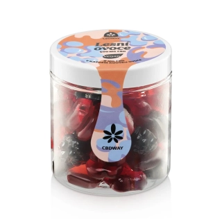 CBDWAY CBD Vegan Lesní směs 500 mg