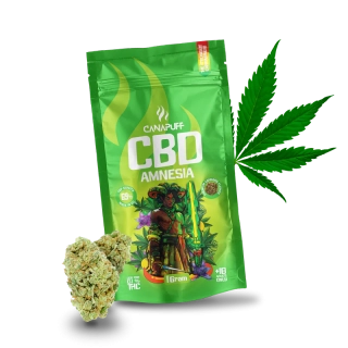 CBD Květy Amnesia 69% – Canapuff