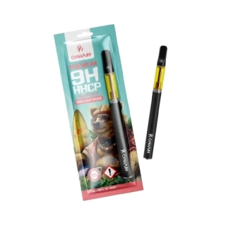 Canapuff Big Bad Bear 99 % – 9H-HHCP Pen + Cartridge 1 ml