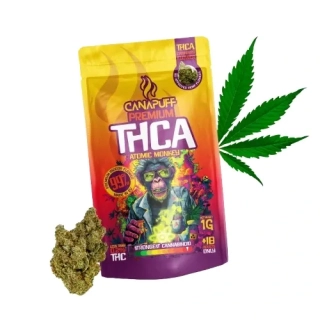 Canapuff THC-A Květy Atomic Monkey 99 %