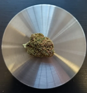 CBD květy Ultra Pink